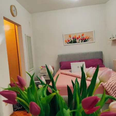 Lenka Banja Koviljača