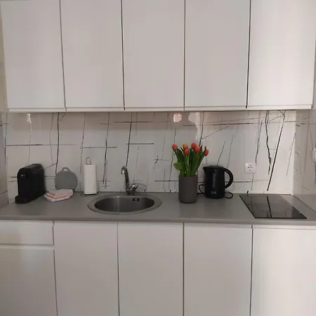 Lenka Banja Koviljača