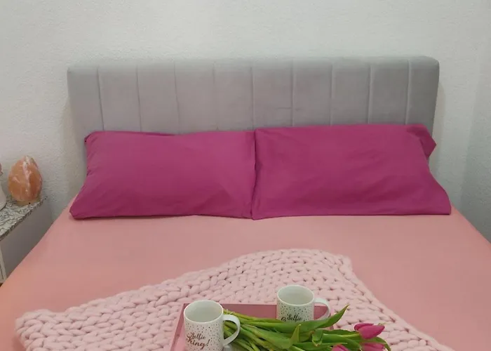 Lenka Apartament Banja Koviljača