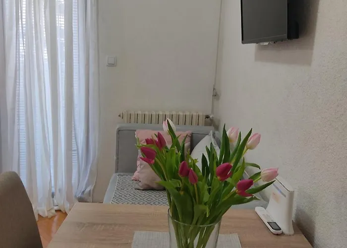 Apartament Lenka *